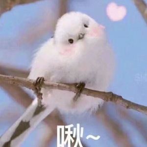 真人酱酱酿酿视频的拍摄地点
