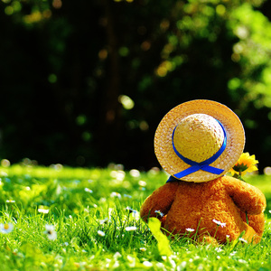 真人酱酱酿酿视频的拍摄地点
